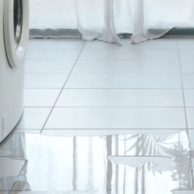 Appliance Leak Cleanup in Agoura, CA